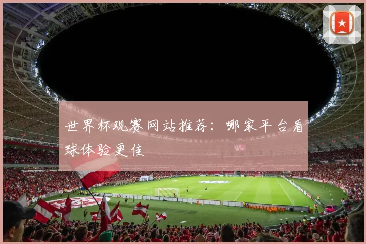 世界杯观赛网站推荐:哪家平台看球体验更佳