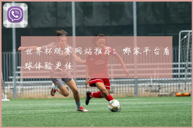 世界杯观赛网站推荐：哪家平台看球体验更佳
