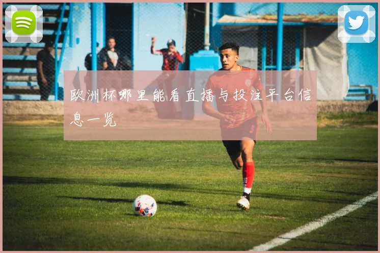 欧洲杯哪里能看直播与投注平台信息一览