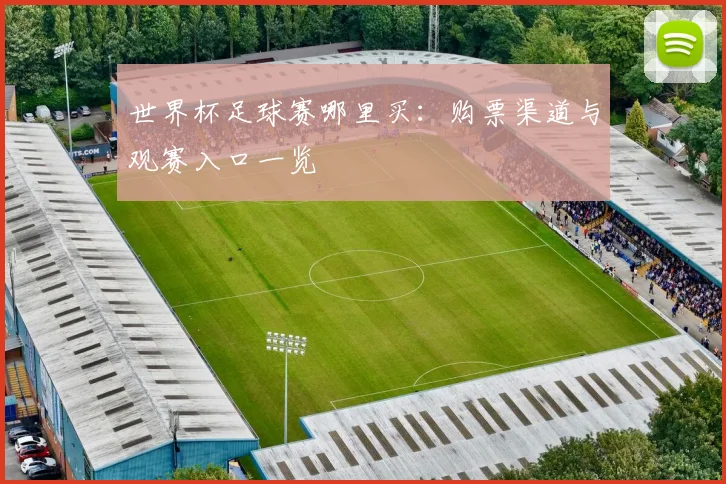 世界杯足球赛哪里买:购票渠道与观赛入口一览