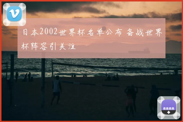 日本2002世界杯名单公布 备战世界杯阵容引关注