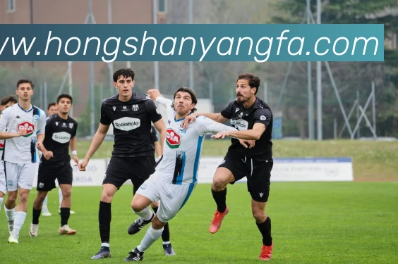 App Interface Preview